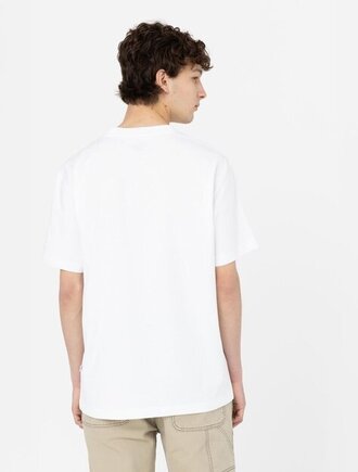 Summerdale short sleeve t-shirt white